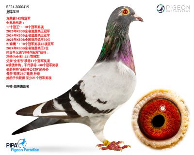 ��쭼���-�ھ�419