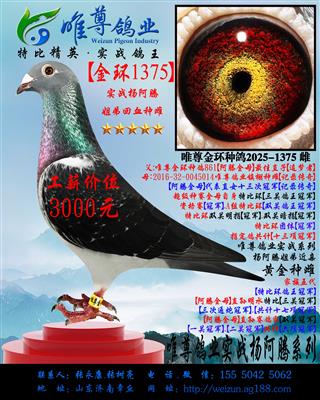 ����1375�����ʵսϵ��