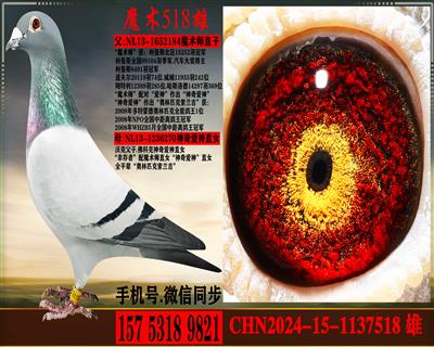 ������.ħ��ʦֱ�����ƿ�.���氮��ֱŮ