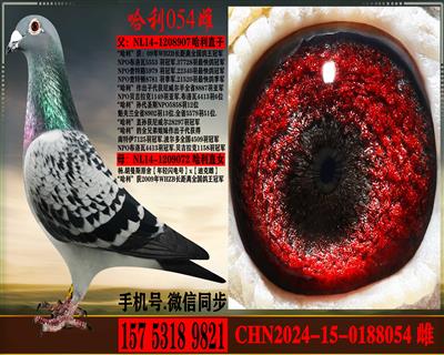 ��.����˹��������.����ֱ�������ֱŮ