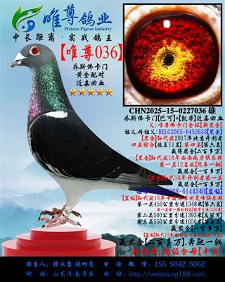 ����˹���š�Ψ��036