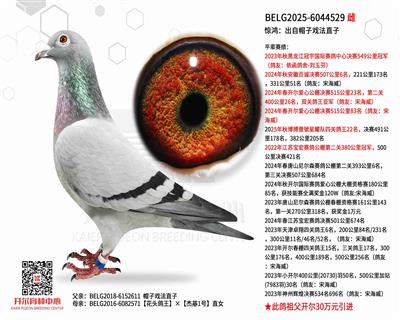 ���裺����ñ��Ϸ��ֱ��