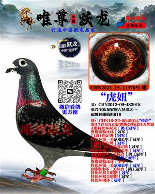 Ψ��Ծ������918����ֱŮ����椡�