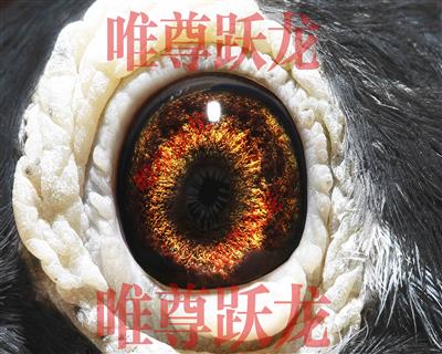 Ψ��Ծ������918����ֱŮ������̖���۾�