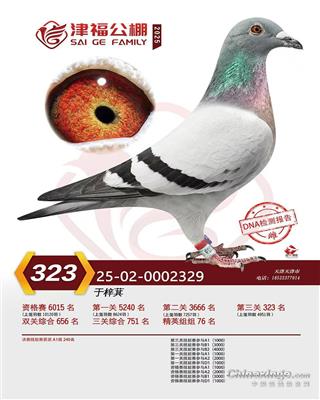 ��323