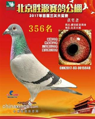 ŷ��356