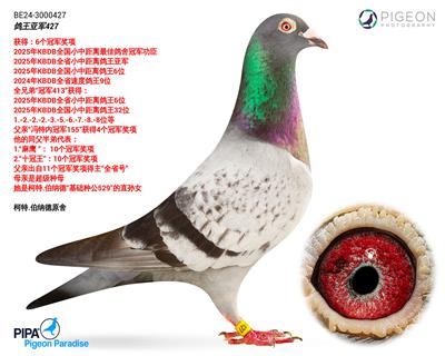 ��쭼���-��ɪ��