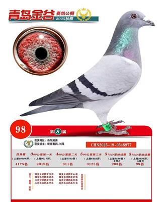 �ൺ������빫�����98��