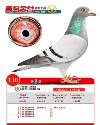 �ൺ��ȹ������130��