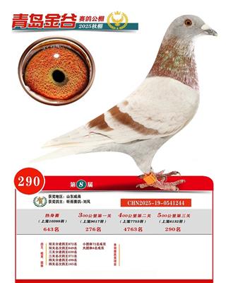 �ൺ������빫�����290��
