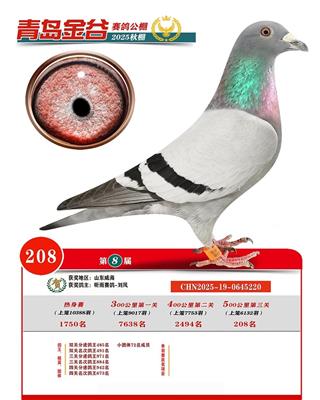 �ൺ������빫�����208��