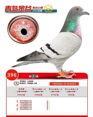 �ൺ������빫�����396��