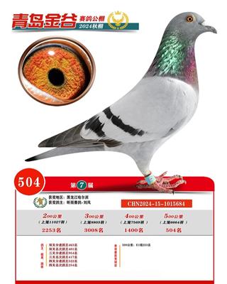 �ൺ������빫�����504��