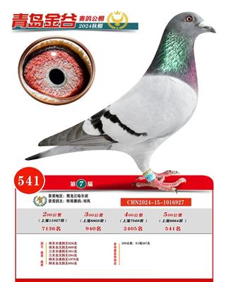 �ൺ������빫�����541��