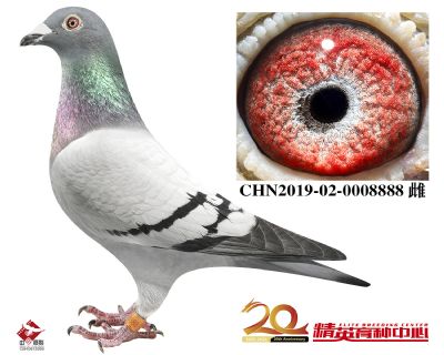 ��������240����ֱŮ