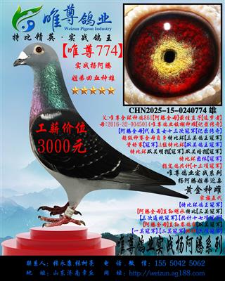 ��Ψ��774�����ʵսϵ��
