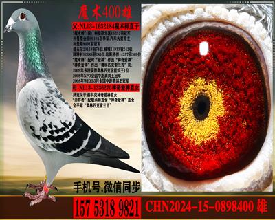 ������.ħ��ʦֱ�����ƿ�.���氮��ֱŮ
