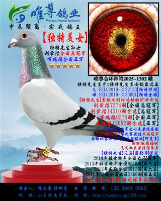 ��������Ů��������������������Ů