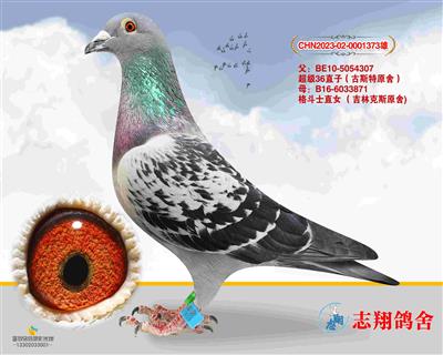 ����36ֱ��