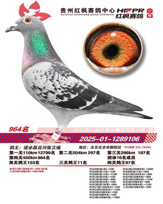 ���ݺ�����빫�С����ظ���11��