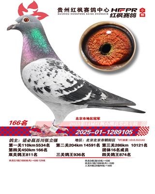 ���ݺ�����빫�С�����166��