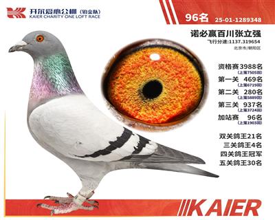 2025�꿪���������ӣ��Ĺظ����ھ�