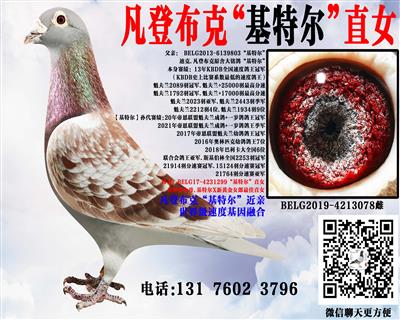���ǲ����������롰���ض���ֱŮ