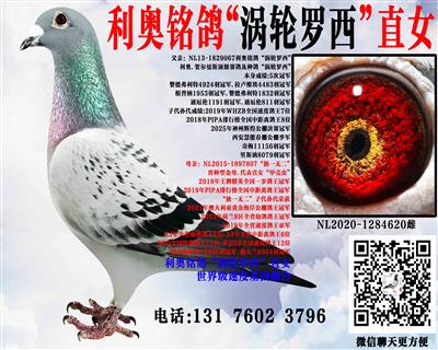 ���¡�����������ֱŮ