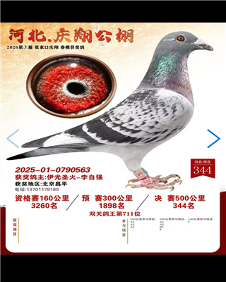 �ӱ����蹫��  ����