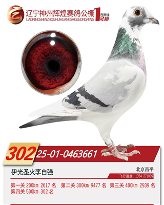 �������ݻԻ� ����