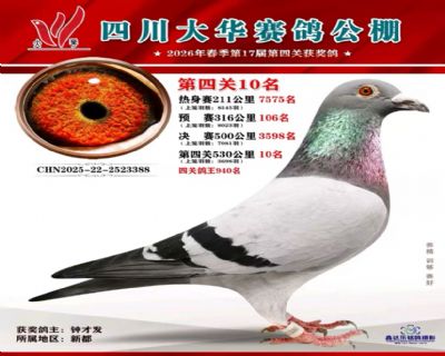 �Ĵ������빫�����10��