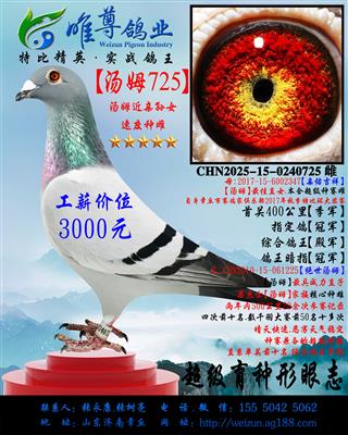 ????725??????></td></tr><tr> <td height=18 align=center ><a href=/xinge/shop/?method=product&id=682041&shop_id=3871 class=black target=_blank><font color=#ff6600><b>????725??????/font></a> </td></tr><tr> <td height=18 align=center bgcolor=#EEFCEE><a href=/xinge/shop/default.asp?method=home&shop_id=3871 class=black target=_blank><font color=#178B0A>��???</font></a></td></tr> </table></td> <td width=20% align=center height=47 valign=TOP bgcolor=#FFFFFF> <table width=100%  border=0 cellpadding=1 cellspacing=2 bgcolor=#FFFFFF bordercolor=#FFFFFF><tr><td  height=105 align=center bordercolor=#CCCCCC> <a href=/xinge/shop/default.asp?method=product&shop_id=3901&id=757786 target=_blank><img src=http://pic.chinaxinge.com/xinge/photo/upload/shopimg/small2/202501/20250116203809914.jpg width=130 height=100 border=0 alt=