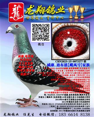 ���������ҵ
