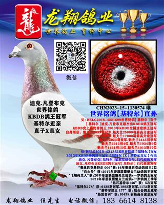 ���ǲ��ˡ����ض���ֱ��