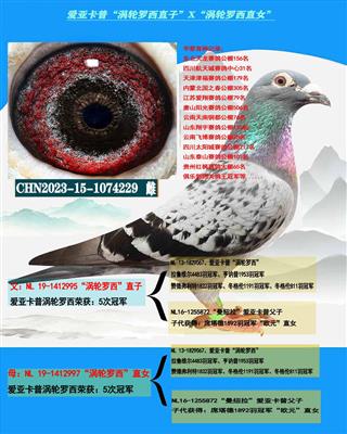���ǿ��ա������������塱������ĸ