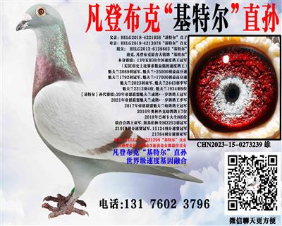 ���ǲ����������롰���ض���ֱ��