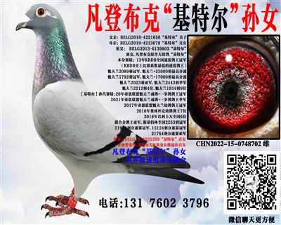 ���ǲ����������롰���ض���ֱ��Ů