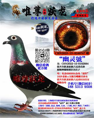 Ψ��Ծ����������ִơ�����̖��