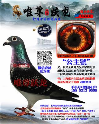 Ψ��Ծ����������ִơ�����̖��