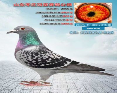 ���ձ��깫���κ���