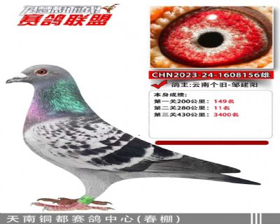 ����ͭ���������� 280����ڶ���11��
