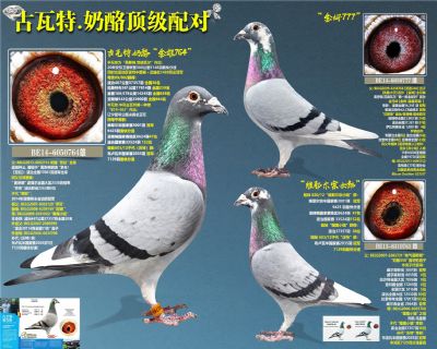 ������.���Ҽ��嶥�����