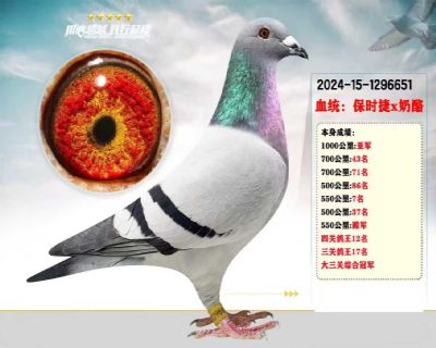 ǧ�����Ǿ���ʱ��