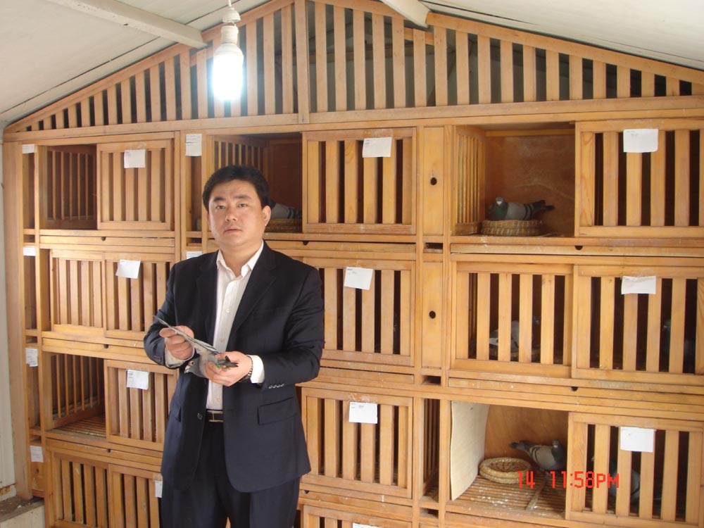 金翼家园 - 中信网铭鸽展厅 www.ag188.com