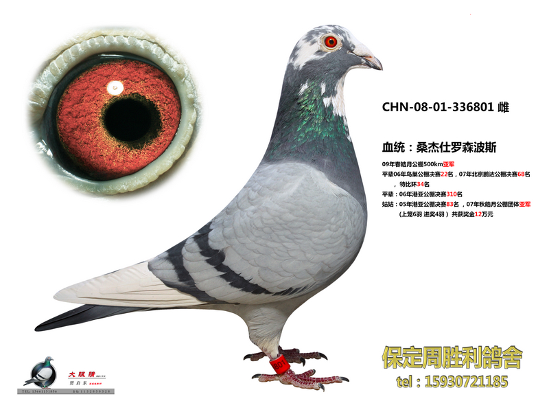 桑杰士罗森波斯