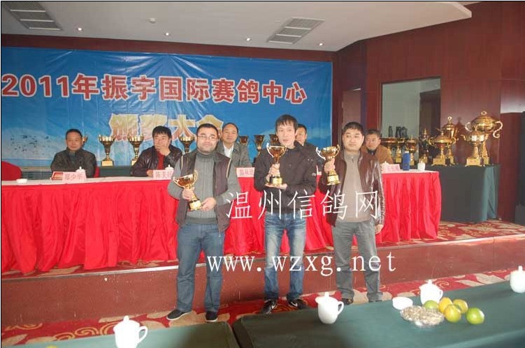 荷比温州赛鸽联盟 - 中信网铭鸽展厅 www.ag188.com
