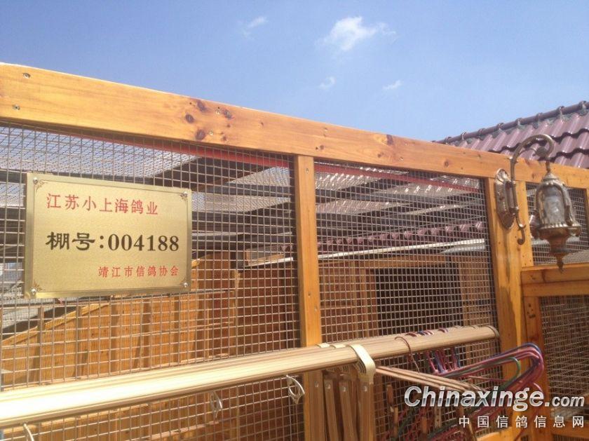 新鸽棚