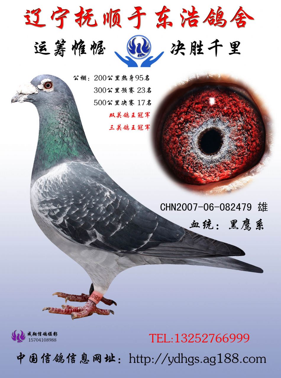 全图