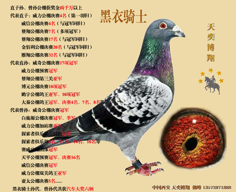 黑衣骑士