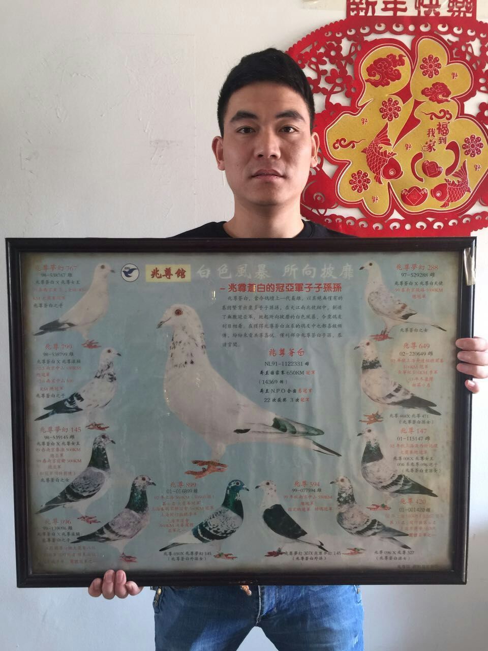 又一冠仇金弟 - 中信网铭鸽展厅 www.ag188.com